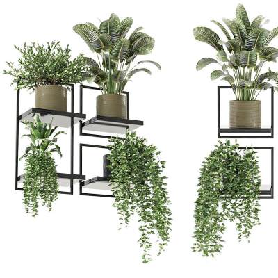 现代壁挂绿植盆栽